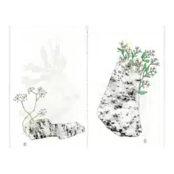 Pierre et Fleur - Mélanie Corre – Image 5