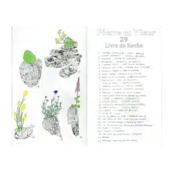Pierre et Fleur - Mélanie Corre – Image 4