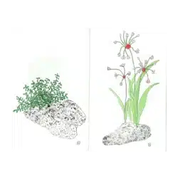 Pierre et Fleur - Mélanie Corre – Image 2