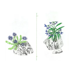 Pierre et Fleur - Mélanie Corre – Image 3