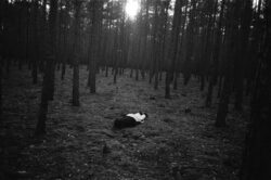 Erlebnispark - Paul & Carla – Image 6