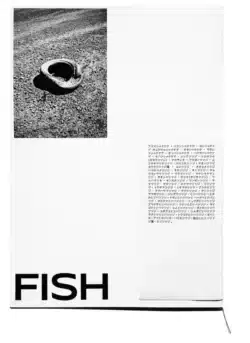 Dirty fish - Léa Abaroa – Image 3