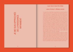 How to Become Irrésistibles - sabrina soyer (ed.) – Image 15