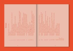 How to Become Irrésistibles - sabrina soyer (ed.) – Image 2