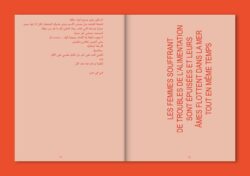 How to Become Irrésistibles - sabrina soyer (ed.) – Image 3
