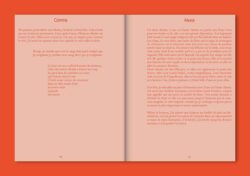 How to Become Irrésistibles - sabrina soyer (ed.) – Image 4