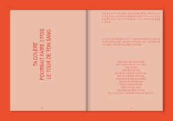 How to Become Irrésistibles - sabrina soyer (ed.) – Image 6