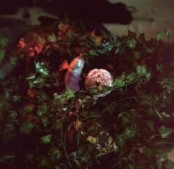 Erlebnispark - Paul & Carla – Image 8