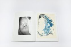 A R N O R D I R - FLorian Marciourt – Image 8