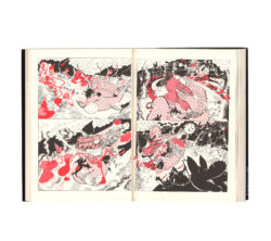 Chausse-trape - Henri Crabières – Image 10