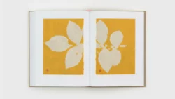 Diario de Plantas (2 volumes) - Gabriel Orozco – Image 8