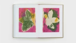 Diario de Plantas (2 volumes) - Gabriel Orozco – Image 2