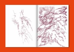 How to Become the Daughters of Darkness - Coll. – Image 10
