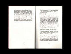 Oraison funèbre pour Zelda1990 - Romane Constant – Image 2