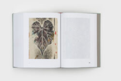 Diario de Plantas (2 volumes) - Gabriel Orozco – Image 7