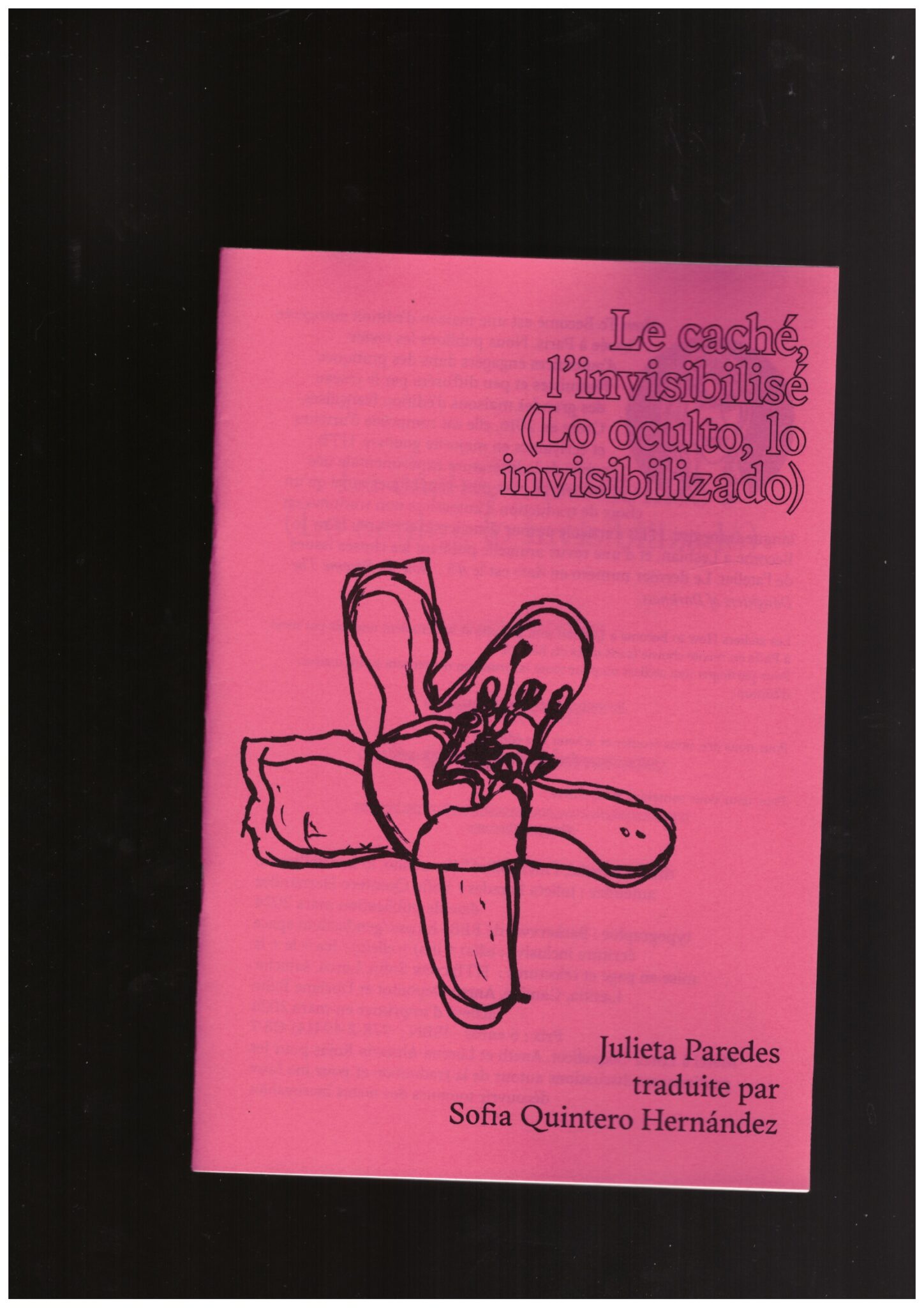 Le caché, l'invisibilisé - Paredes, Julieta ; Quintero Hernandez, Sofia