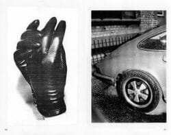 Elk - Jocko Weyland – Image 6