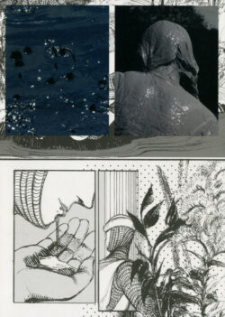 Pluie - Coll. - Lagon revue