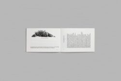Vers Vermersch - Thomas Dunoyer de Segonzac – Image 3