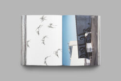 Guten Tag - Pablo Tomek – Image 17