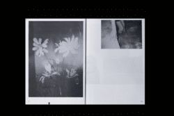 Absorber les fantômes - coll – Image 7