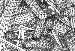 Mille Feuilles - Ingo Giezendanner – Image 7