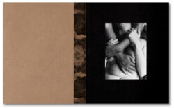 Tee A. Corinne: A forest fire between us - Charlotte Flint (ed.) – Image 3