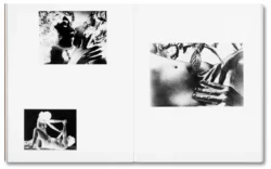 Tee A. Corinne: A forest fire between us - Charlotte Flint (ed.) – Image 9