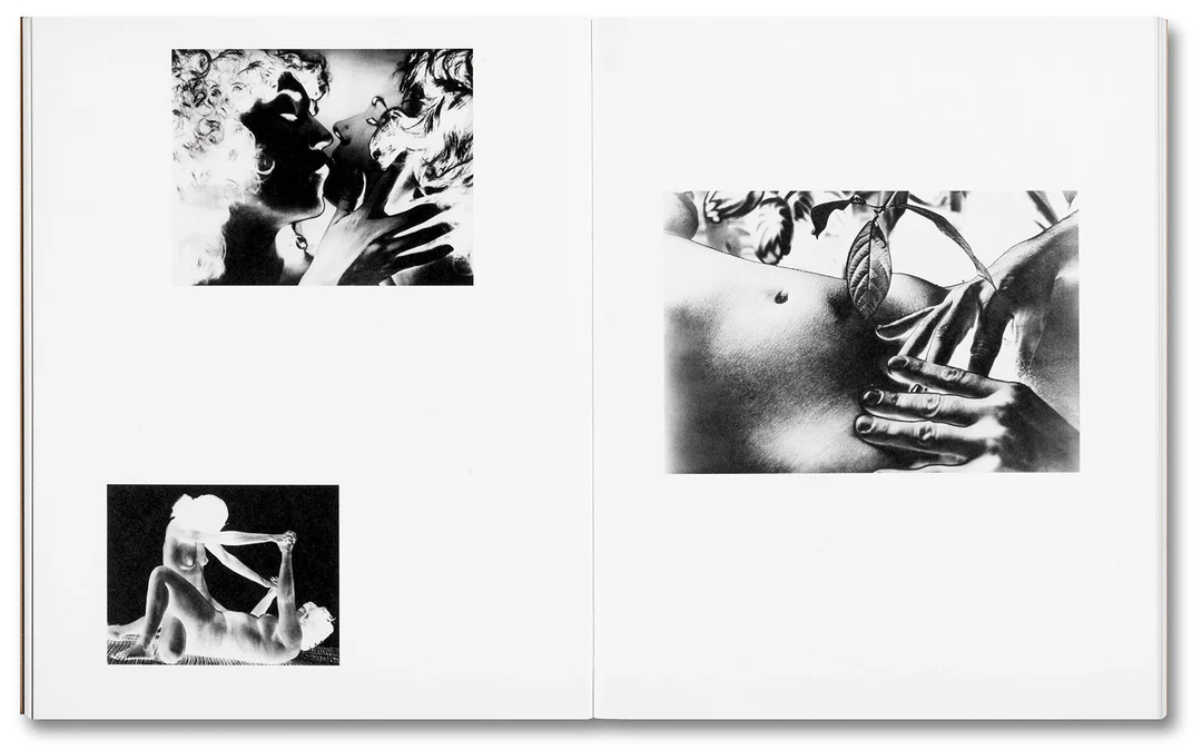 Tee A. Corinne: A forest fire between us - Charlotte Flint (ed.) – Image 9