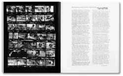 Tee A. Corinne: A forest fire between us - Charlotte Flint (ed.) – Image 11