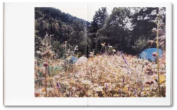 Tee A. Corinne: A forest fire between us - Charlotte Flint (ed.) – Image 13