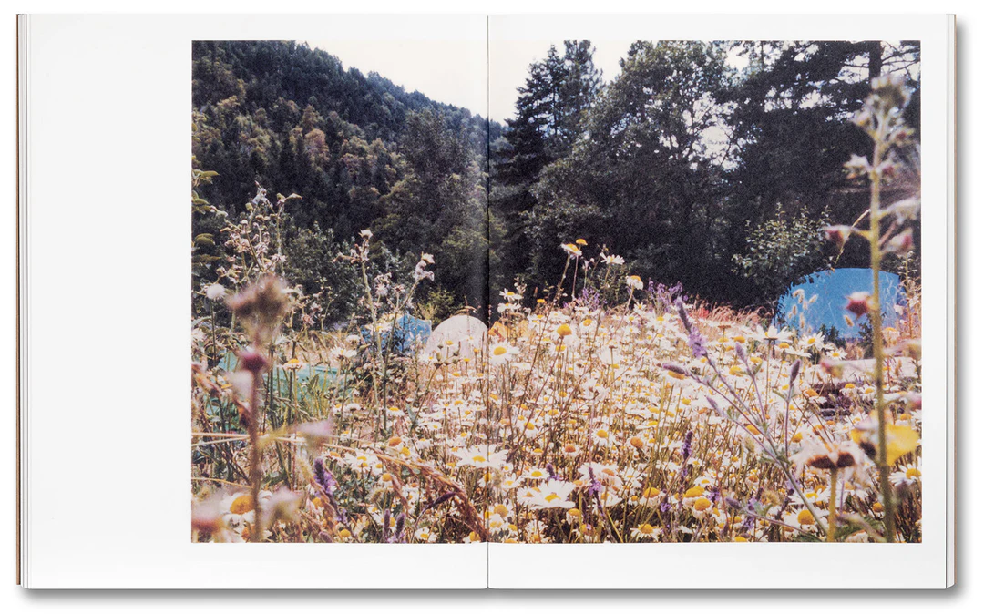 Tee A. Corinne: A forest fire between us - Charlotte Flint (ed.) – Image 13