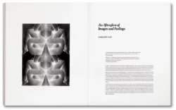 Tee A. Corinne: A forest fire between us - Charlotte Flint (ed.) – Image 16
