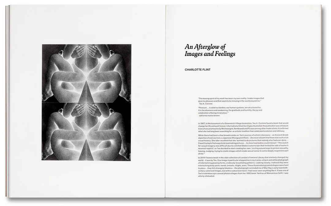 Tee A. Corinne: A forest fire between us - Charlotte Flint (ed.) – Image 16