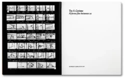 Tee A. Corinne: A forest fire between us - Charlotte Flint (ed.) – Image 5