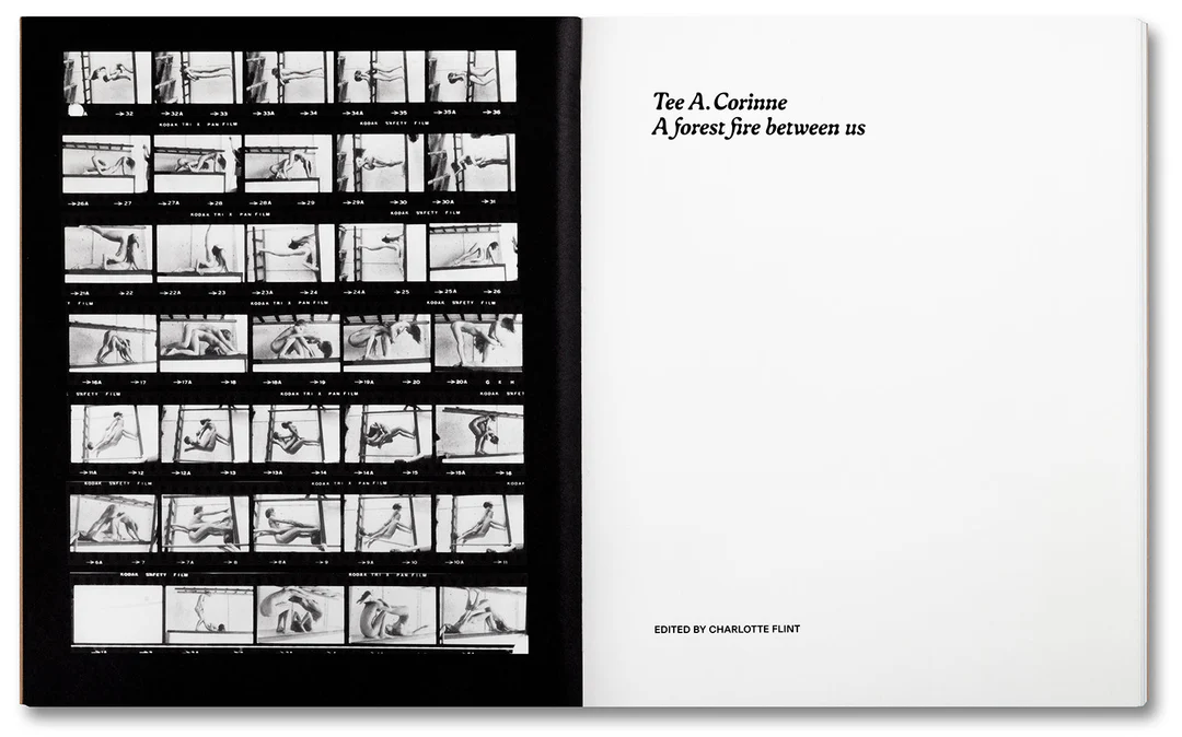 Tee A. Corinne: A forest fire between us - Charlotte Flint (ed.) – Image 5