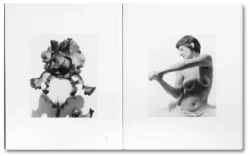 Tee A. Corinne: A forest fire between us - Charlotte Flint (ed.) – Image 6