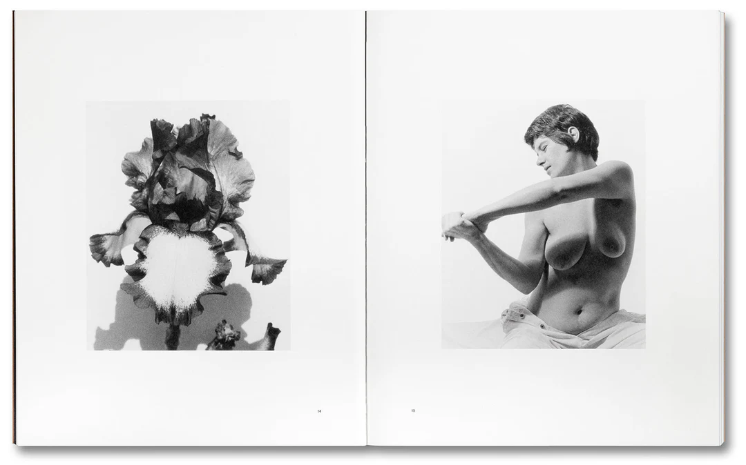 Tee A. Corinne: A forest fire between us - Charlotte Flint (ed.) – Image 6