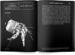 Bestiaire de l’Anthropocène - disnovation.org, Nicolas Nova, éd. – Image 4
