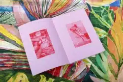 Coloramadre - Geoffroy Pithon – Image 3