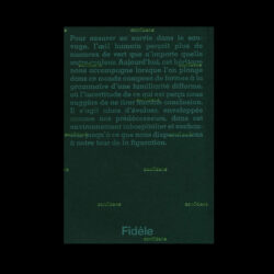 Another Green World - Pierre La Police – Image 5