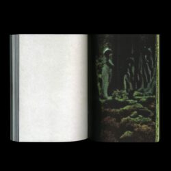 Another Green World - Pierre La Police – Image 4