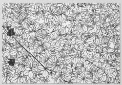 Mille Feuilles - Ingo Giezendanner – Image 4
