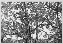 Mille Feuilles - Ingo Giezendanner – Image 5