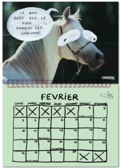 Calendrier 2025 - Et dire que notre terre a déjà 2025 ans -  Nils Bertho – Image 4
