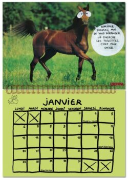 Calendrier 2025 - Et dire que notre terre a déjà 2025 ans -  Nils Bertho – Image 5