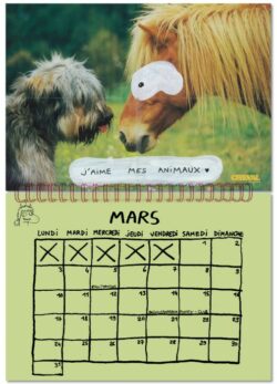 Calendrier 2025 - Et dire que notre terre a déjà 2025 ans -  Nils Bertho – Image 3