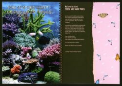 All About Us — Calmer Clearer Closer Nearer - Gloria Glitzer – Image 9