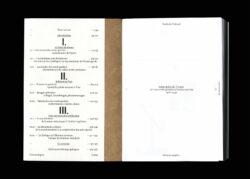 Télégraphes de l'Utopie – L'art des avant-gardes en Europe Centrale 1918-1939 - Sonia de Puineuf – Image 5