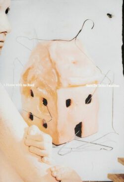 A Home with no Roof  - Sara De Brito Faustino